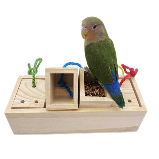 Educational Wooden Interactive Bird Toy – Gnawing Bird Supplies - Smiling Sprouts